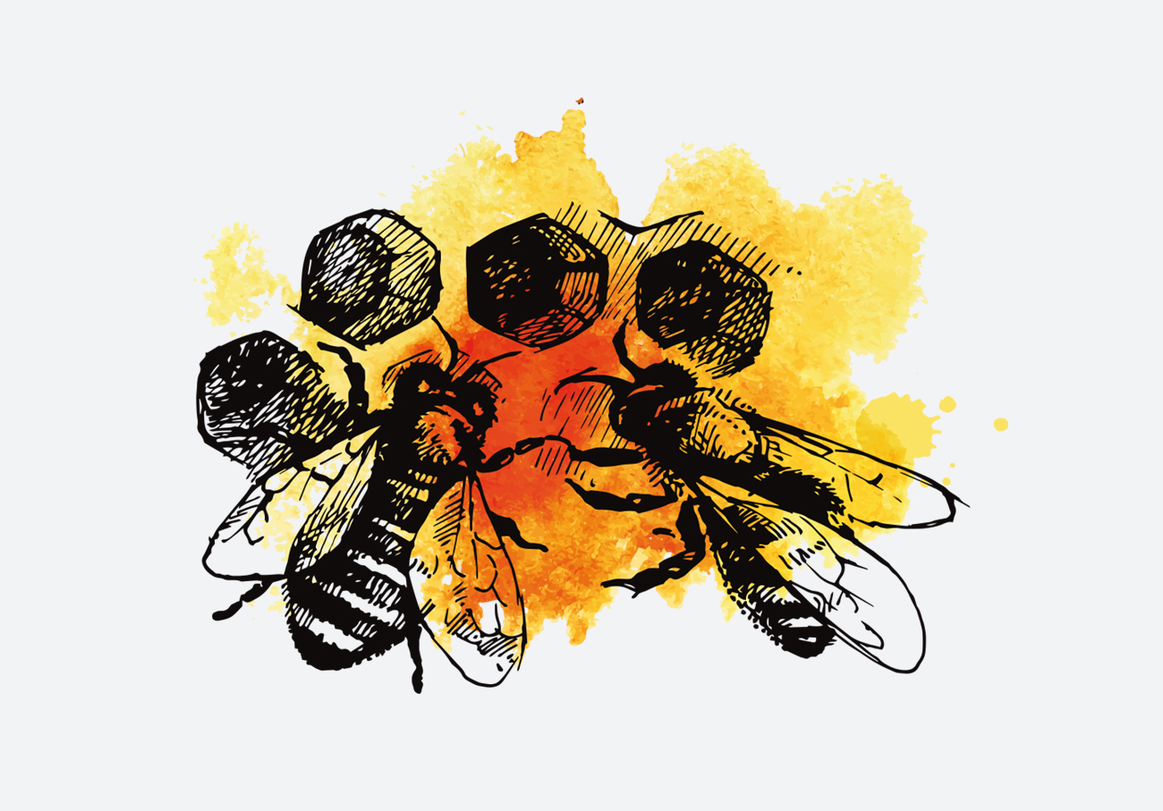 rasmia hidromiel artesana 2